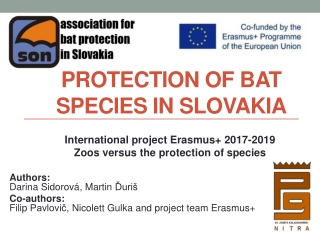 PROTECTION OF BAT SPECIES IN SLOVAKIA