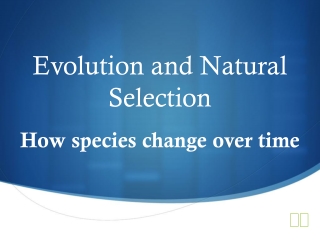 Evolution and Natural Selection