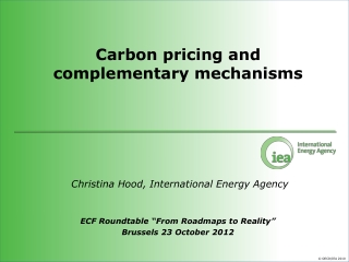 Carbon pricing and complementary mechanisms