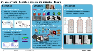 B1: Mesocrystals – Formation, structure and properties - Results