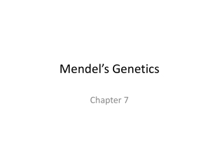 Mendel’s Genetics