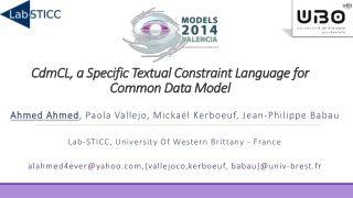 C dm CL , a Specific Textual Constraint Language for Common Data Model