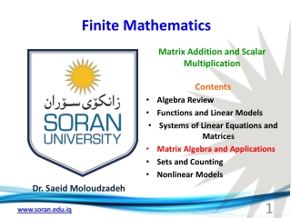 Finite Mathematics