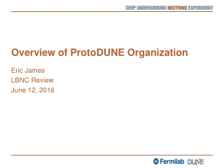 Overview of ProtoDUNE Organization