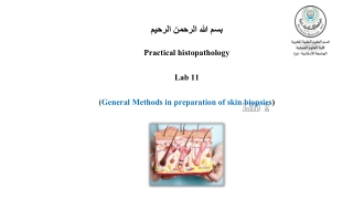 بسم الله الرحمن الرحيم Practical histopathology Lab 11