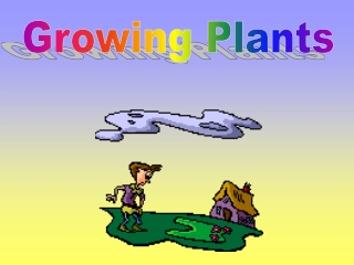 Growing Plants