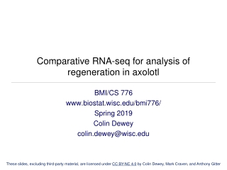 Comparative RNA- seq for analysis of regeneration in axolotl