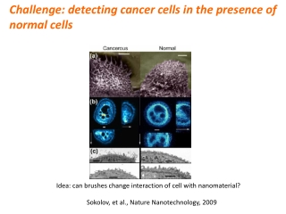 Sokolov , et al., Nature Nanotechnology, 2009