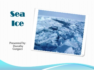 Sea Ice