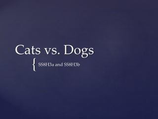 Cats vs. Dogs