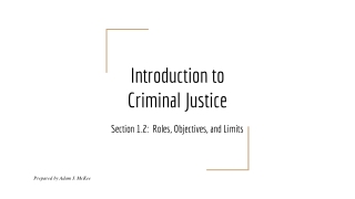 Introduction to Criminal Justice