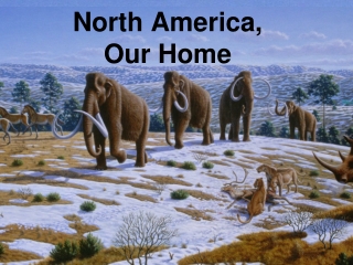 North America, Our Home