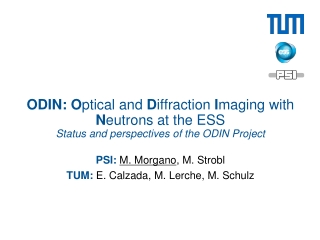 PSI: M. Morgano , M. Strobl TUM: E. Calzada , M. Lerche , M. Schulz