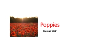 Poppies