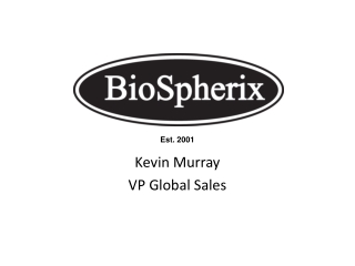 Kevin Murray VP Global Sales