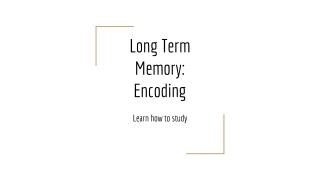 Long Term Memory: Encoding