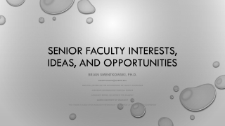 Senior faculty interests, ideas, and opportunities