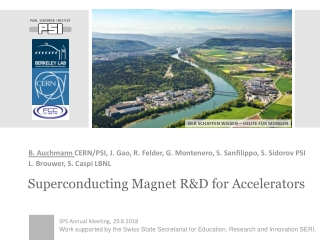 Superconducting Magnet R&amp;D for Accelerators