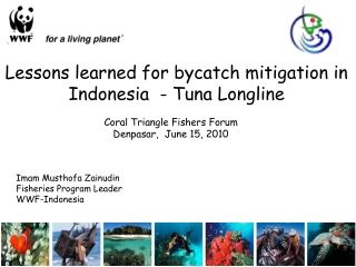 Lessons learned for bycatch mitigation in Indonesia - Tuna Longline