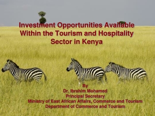 Investment Opportunities Available Within the Tourism and Hospitality Sector in Kenya