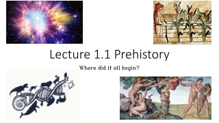Lecture 1.1 Prehistory