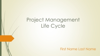 Project Management Life Cycle