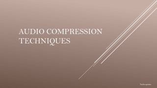 Audio Compression Techniques