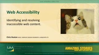 Web Accessibility