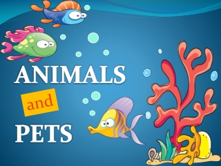 ANIMALS PETS