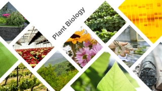 Plant Biology