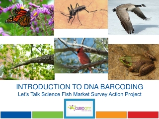 INTRODUCTION TO DNA BARCODING Let’s Talk Science Fish Market Survey Action Project