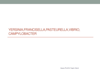 Yersinia,FRANCISELLA,PASTEURELLA,VIBRIO, CAMPYLOBACTER