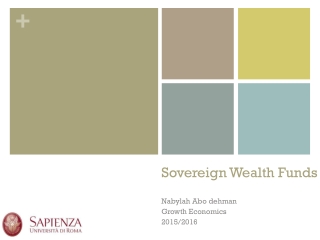 Sovereign Wealth Funds