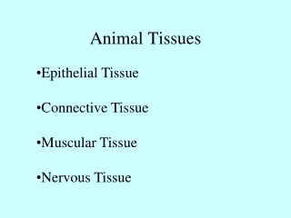 Animal Tissues