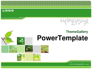 ThemeGallery PowerTemplate