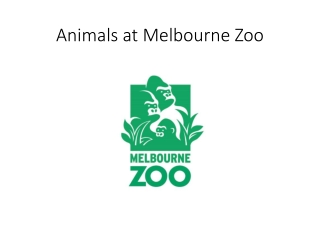 Animals at Melbourne Zoo