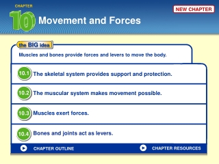 Movement and Forces