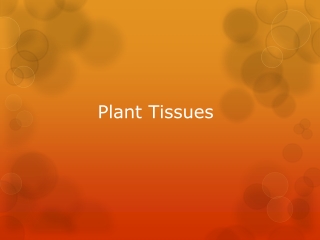 Plant Tissues