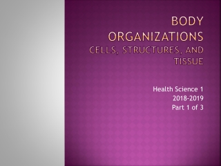 Body Organizations Cells, structures, and tissuE