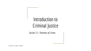 Introduction to Criminal Justice