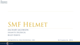 SMF Helmet