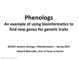 Phenologs An example of using bioinformatics to find new genes for genetic traits