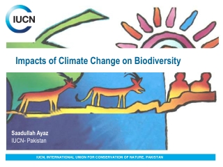 Impacts of Climate Change on Biodiversity