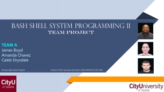 Bash Shell System Programming II Team Project