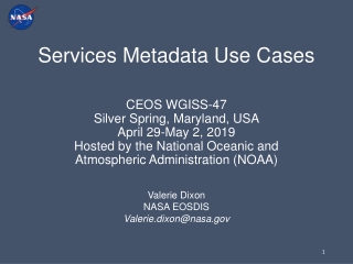 Services Metadata Use Cases