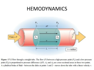 HEMODYNAMICS