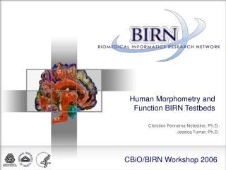 Human Morphometry and Function BIRN Testbeds