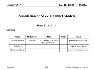 Simulation of NGV Channel Models