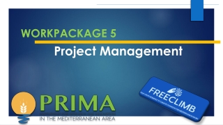 WORKPACKAGE 5