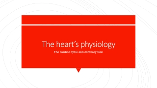 The heart’s physiology